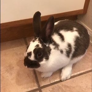 Meet your Posher, Salma